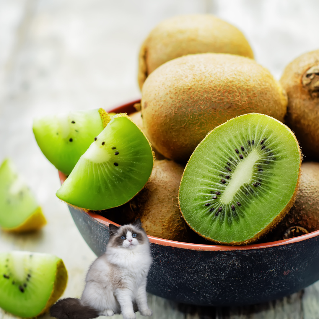 Kiwi